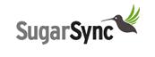 SugarSync_rink